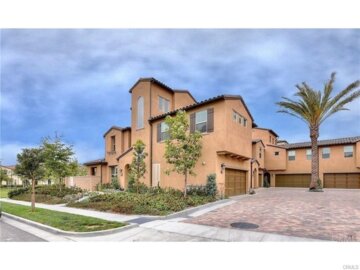 65 Finch Photo