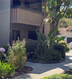 20702 El Toro Road #243 Photo